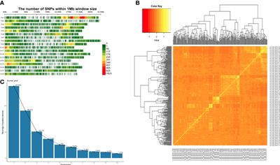 Genetic dissection of cassava brown streak disease in a genomic selection population